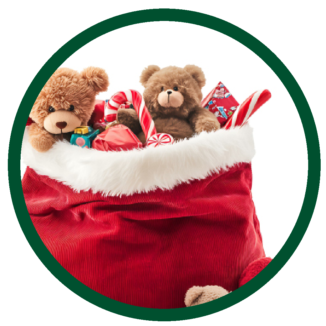 Toys in a Santa bag