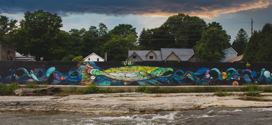 picture of Salmon mural