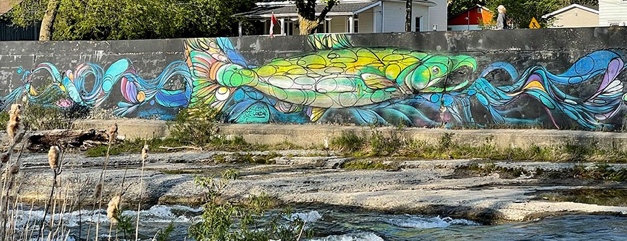Fish mural painting on the riverbanks of the Ganaraska River in Port Hope
