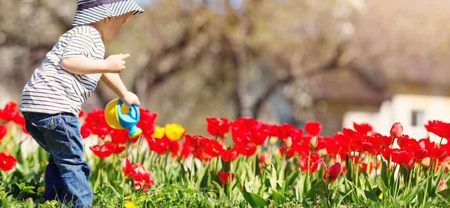 Picture of a child watering flowers