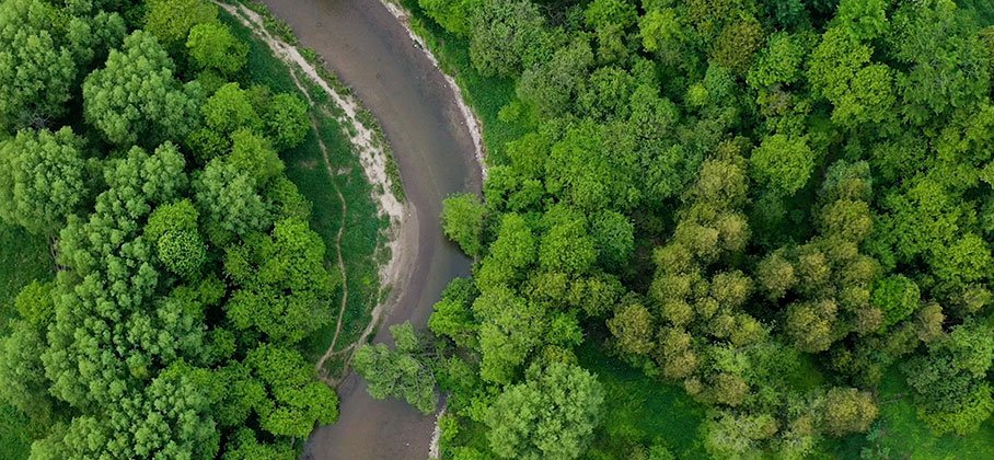 Image of the Ganaraska River 