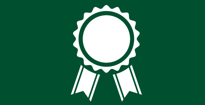 Icon of award ribbon